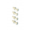 NUMBER PLATE BOLTS & NUTS WHITE     50PCS